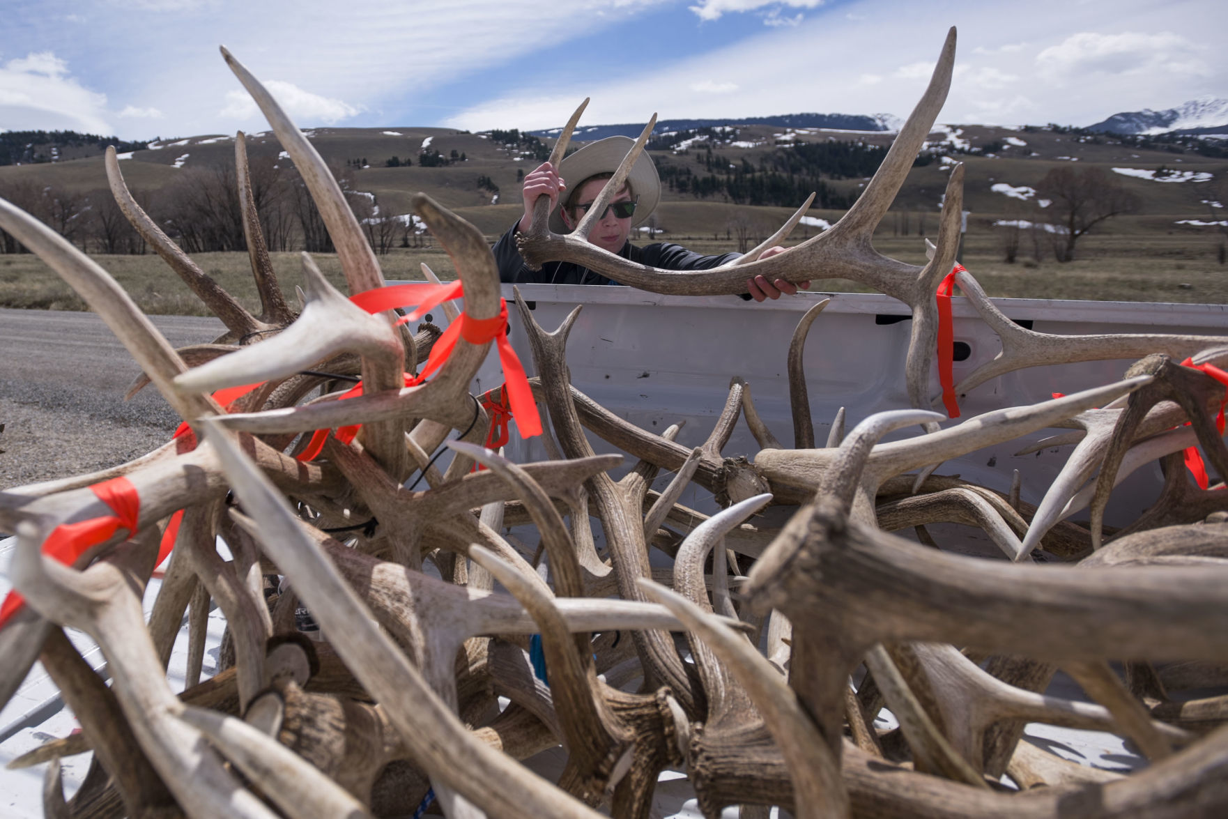 Boy Scout antler pickup